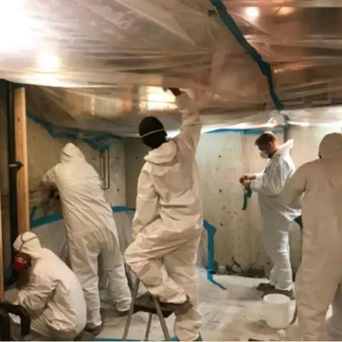 Restoration 911 image 3