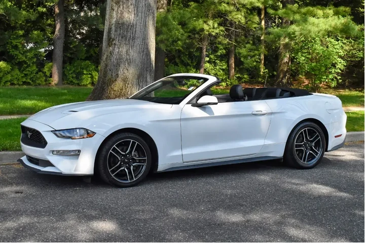 $13995 : Ford Mustang 2019 EcoBoost 2 image 2