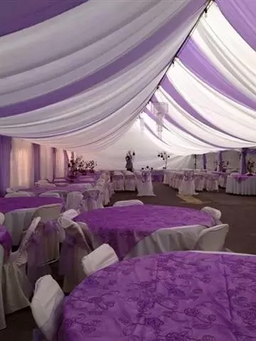 Calentones(heaters) carpa image 3
