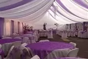 Calentones(heaters) carpa thumbnail
