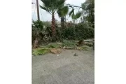 CANALEZ GARDENING SERVICES thumbnail
