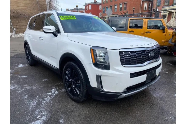 2020 Telluride SX image 2