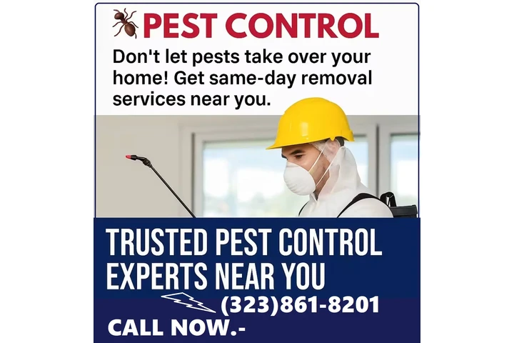 FUMIGACION EN TU HOGAR/NEGOCIO image 1