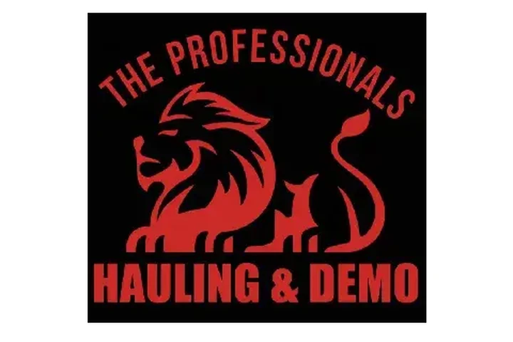 Professional Demolition image 1