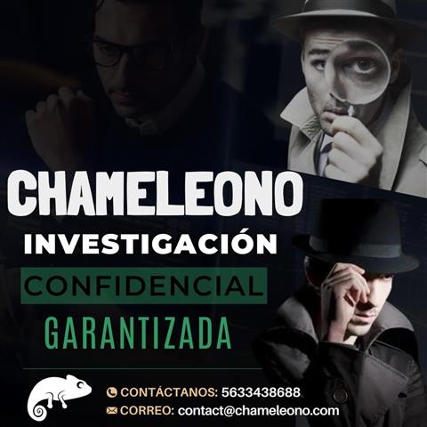 Chameleono detectives privados image 1