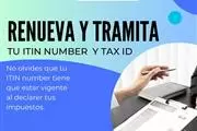 Sea Taxes and Services thumbnail 4