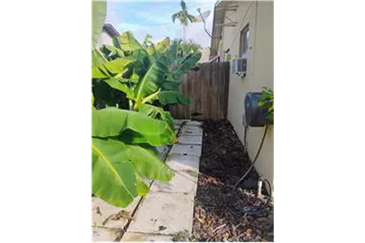 $1250 : Rental property with 1 bedro image 6