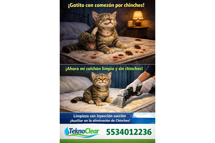 Lavado de salas y colchones image 6