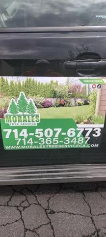 MORALES TREE SERVICE image 3