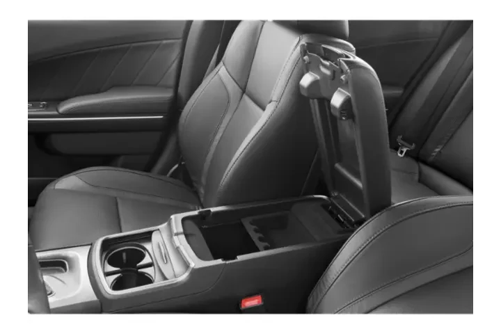 2018 Charger R/T image 10