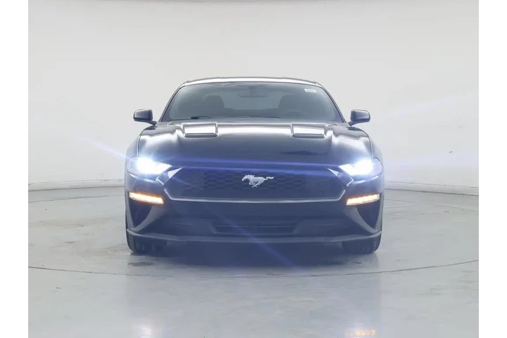 $19998 : Ford Mustang 2019 EcoBoost 2 image 5