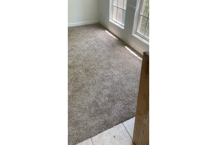 Carpet image 2
