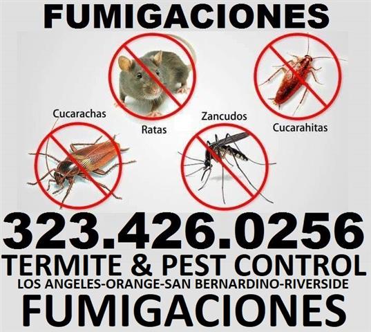 FUMIGADOR TERMITAS 24/7 ORANGE image 9