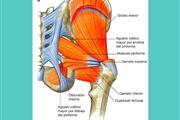 REHABILITACIÓN POST QUIRÚRGICA thumbnail