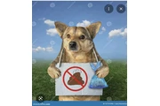 Limpieza dog 💩 poop limpieza thumbnail