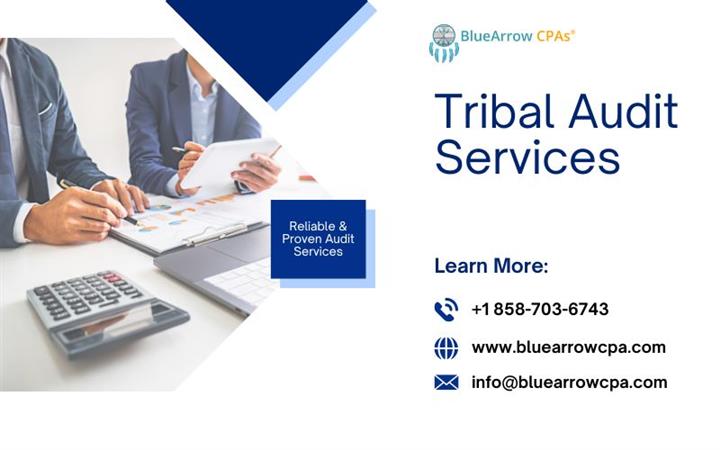 Efficient Tribal Audit Service image 1