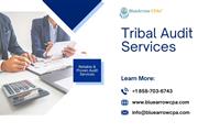 Efficient Tribal Audit Service en San Diego