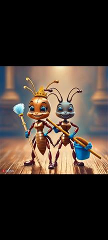 Ant and Queen Cleaning image 1