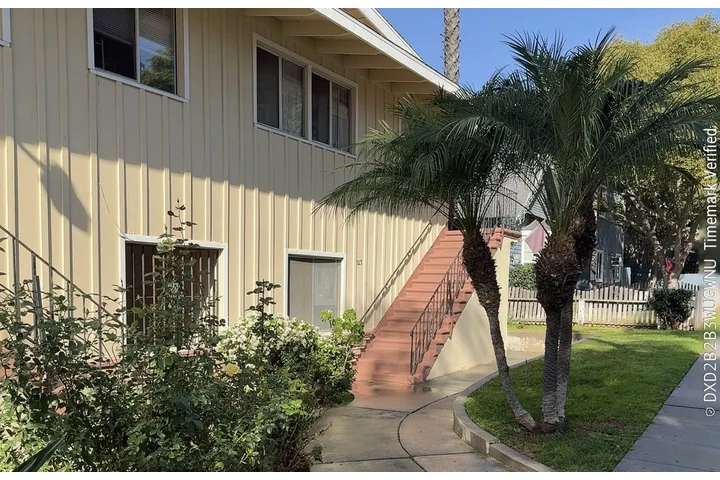 $1950 : 🚨APARTAMENTO DE RENTA 🚨 image 3