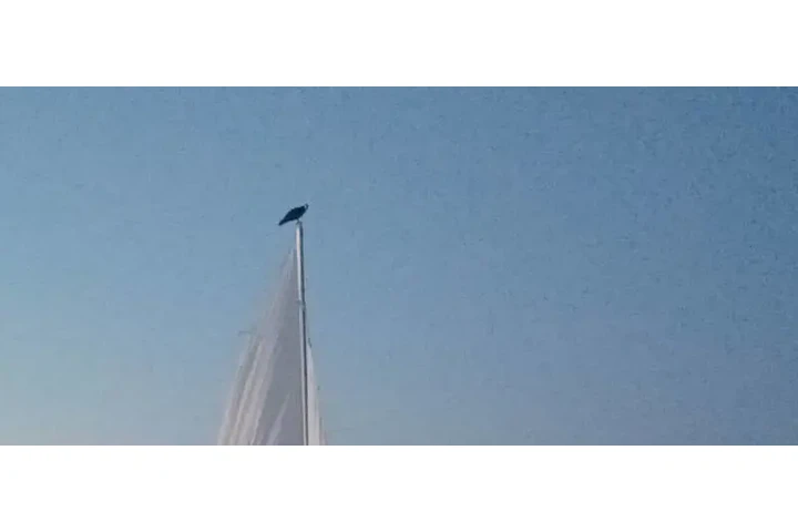 $18995 : 1974 coastal sailboat image 6