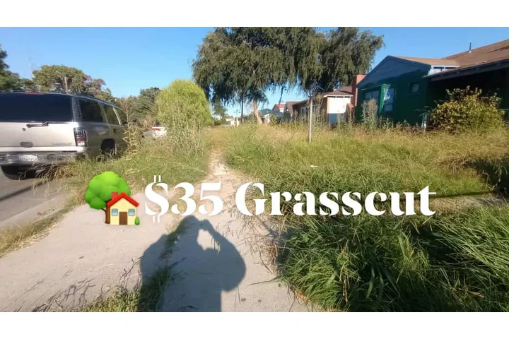 Corte de pasto 🌿👷🏼 image 3