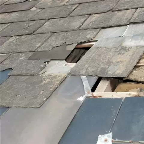 GEORGE HANDYMAN image 1