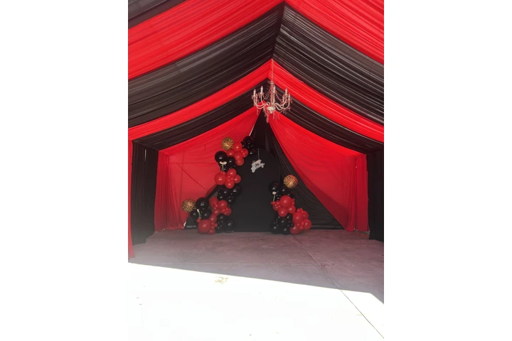 Paquete $390 image 9