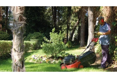 JARDINERÍA Y DEMOLICIÓN en Los Angeles