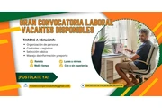 Personal para proceso digital en Bogota