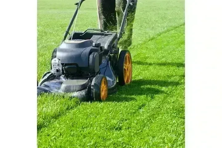 CANALEZ GARDENING SERVICES image 1