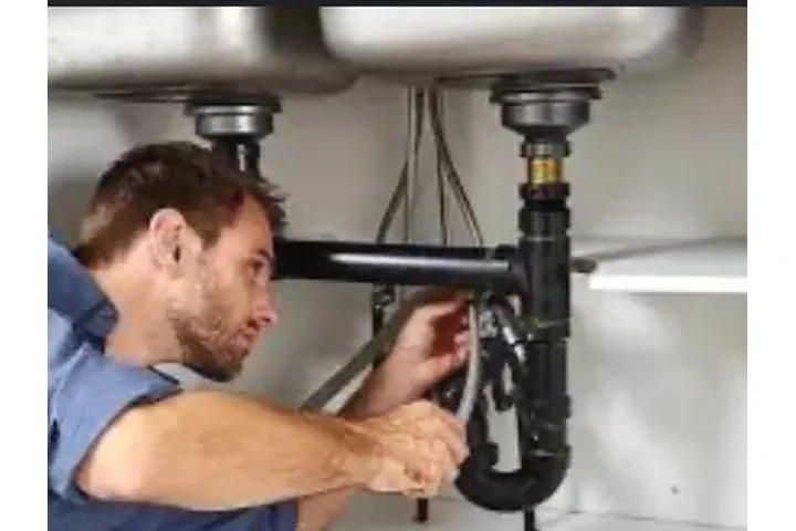 PLOMERIA GENERAL image 1