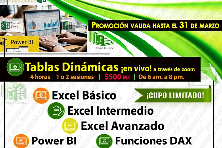 EXCEL y TABLAS DINÁMICAS ZOOM image 1