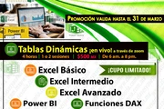 EXCEL y TABLAS DINÁMICAS ZOOM en Celaya