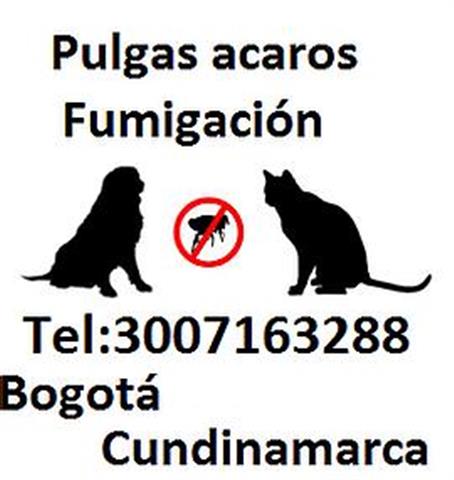Fumigaciones Bogota 3007163288 image 1
