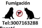 Fumigaciones Bogota 3007163288 en Bogota