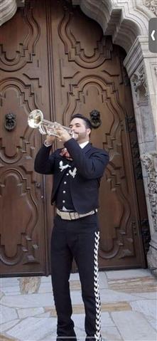 Mariachi profesional image 1