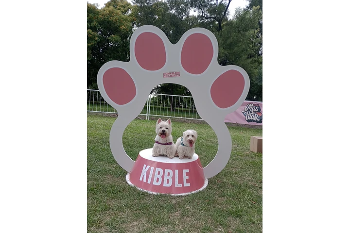 $25000 : Timilines AdiestramientoCanino image 10