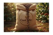 CONCAFFE Veracruz thumbnail 3