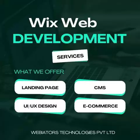 Wix Website Development image 1