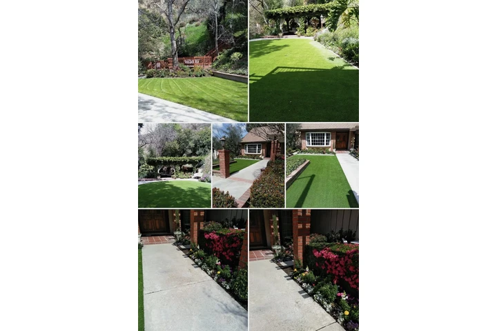 Jardinería y limpieza image 6
