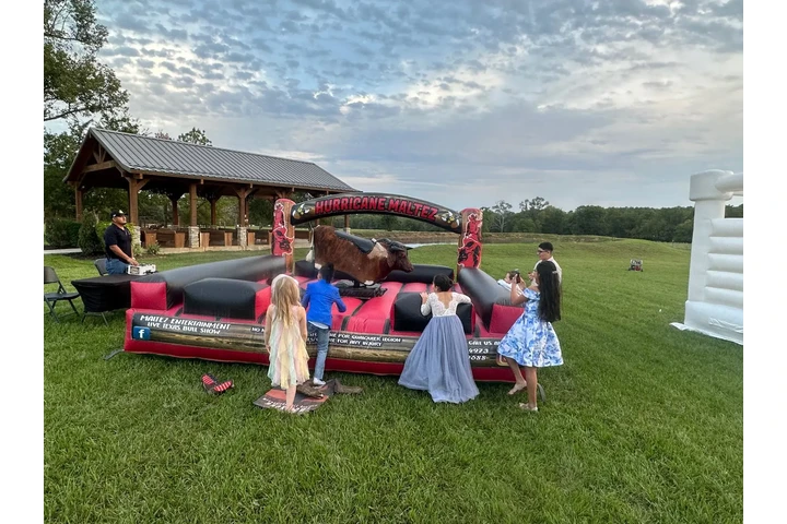 Maltez Entertainment image 2