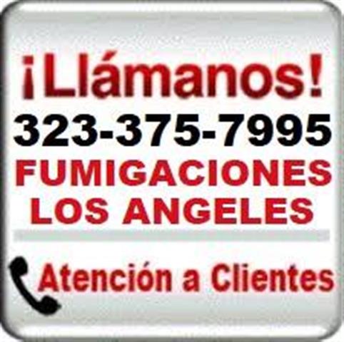 FUMIGADORES CERCA LOS ANGELES image 2