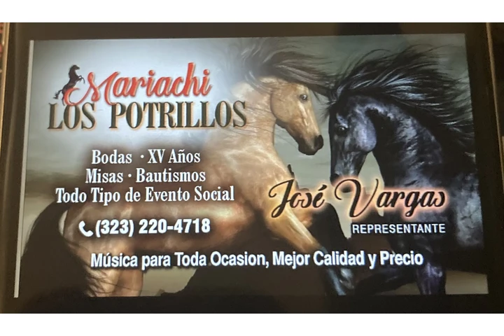 MARIACHI LOS POTRILLOS image 5