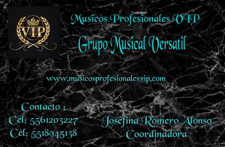Músicos Profesionales VIP image 2