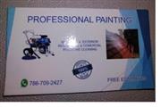 PROFESSIONAL PAINTING