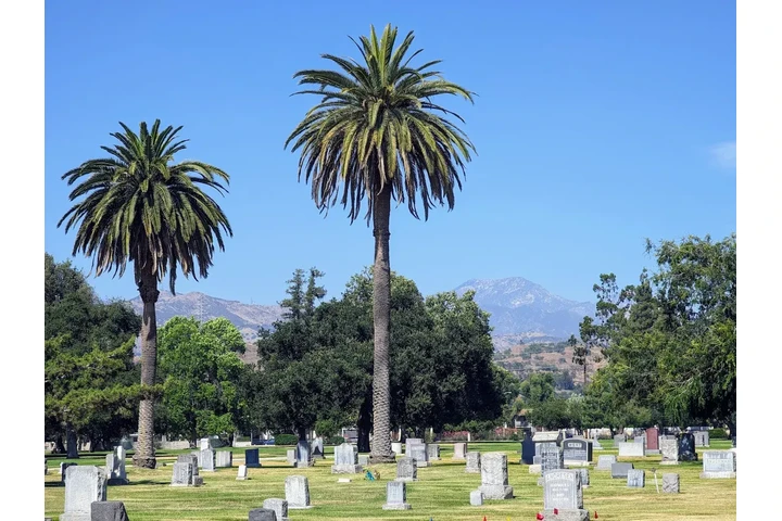 CEMENTERIO OAKDALE, VENDO LOTE image 1