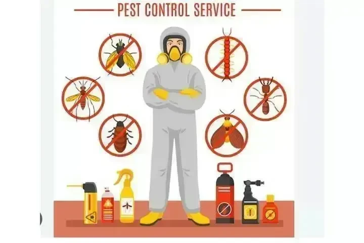 PIÑAS PEST CONTROL🦟🐀🐛 image 2