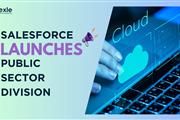 Salesforce Public Sector