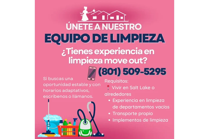 The House Cleaning Squad image 1