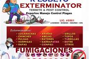 FUMIGACIONES TERMITAS L.A 24/7 thumbnail